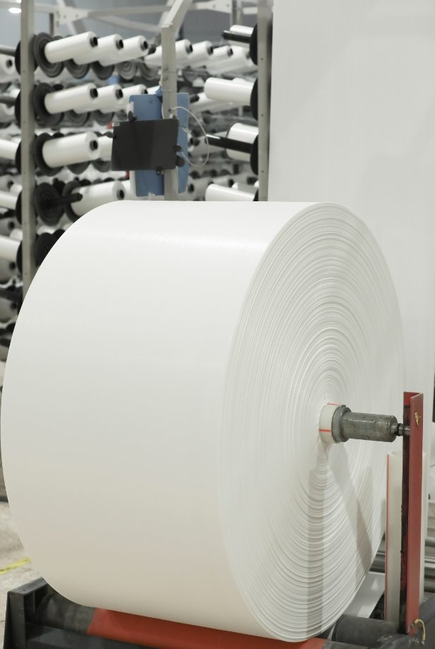 PP Woven Roll Fabric